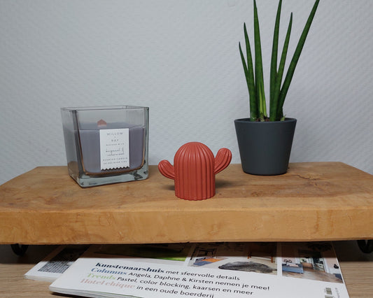 Beeldje - Cactus - Terracotta Acrylwereld.nl