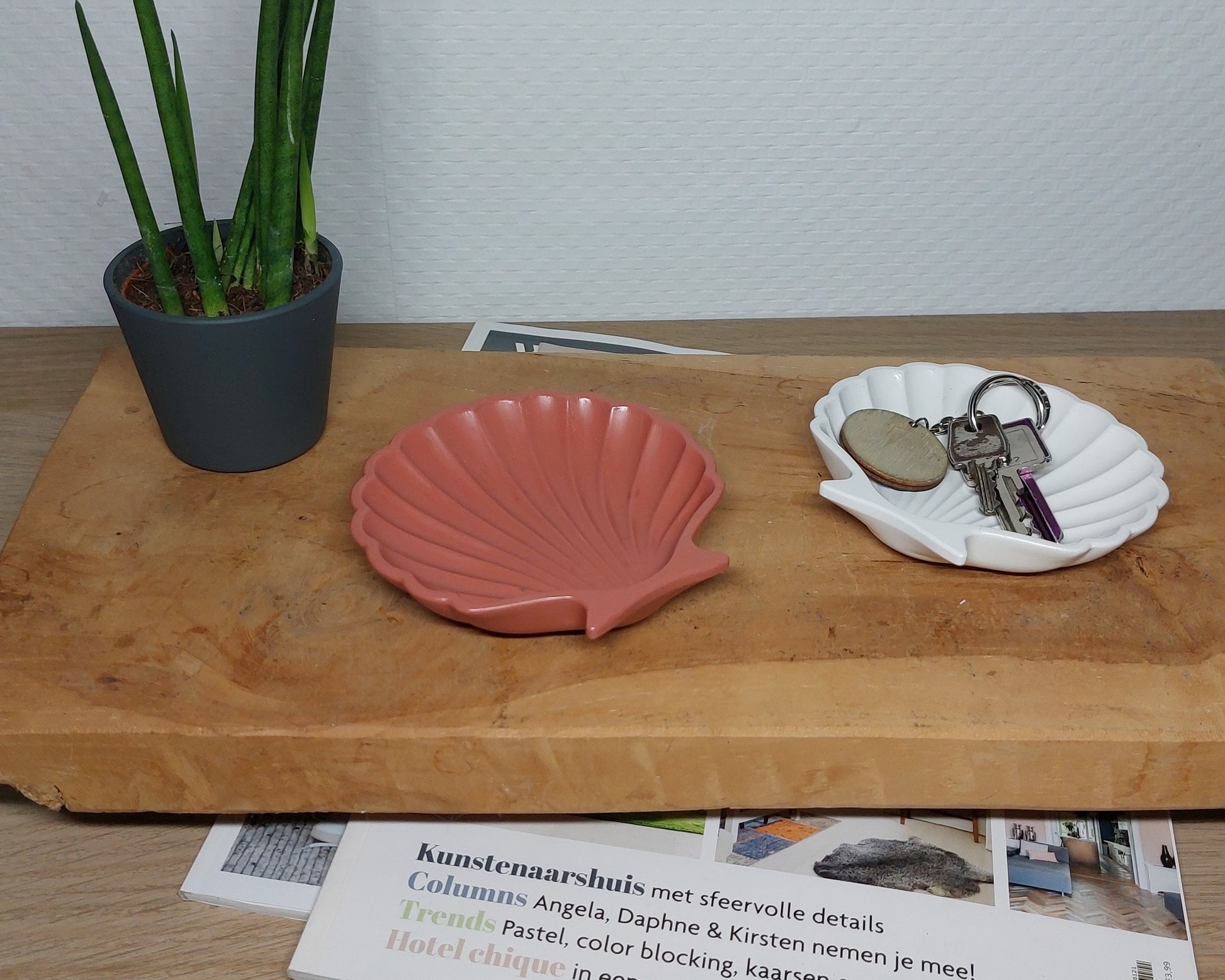 Schelpenset - Tweedelig - Wit/Terracotta Effen Acrylwereld.nl